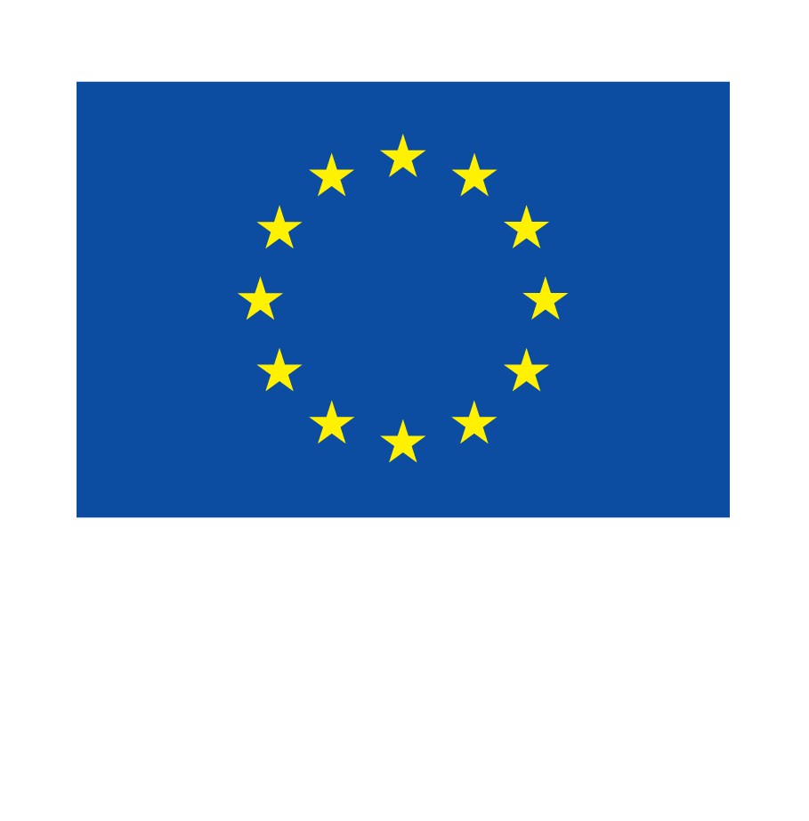 Logo du Fond Social Européen sur le cofinancement de projet